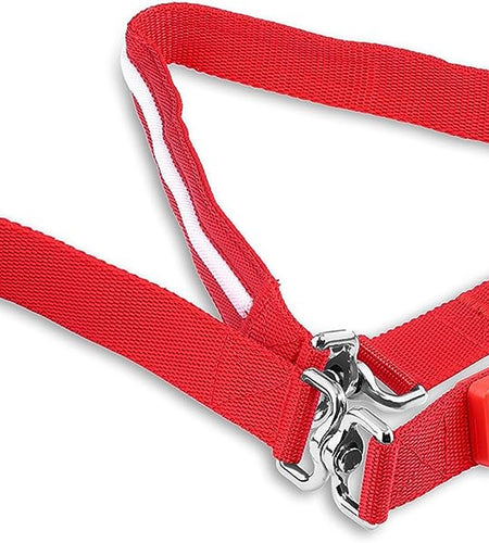 ' Safety LED Dog Leash - USB Rechargeable Flashing Light, 6 Ft, Water Resistant – Avoid Danger – Red